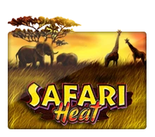 Safari Heat - ATHENA777