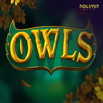 Owls - ATHENA777