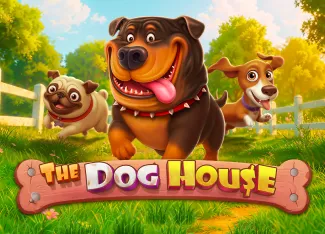 The Dog House - ATHENA777
